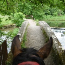 Horse Riding Blackwater Bridge