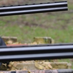 Clay Pigeon Shooting Pimperne, Dorset