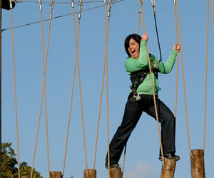 High Ropes Course Bromsgrove, Worcestershire