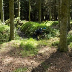 Paintball, Low Impact Paintball Thornaby-on-Tees, Stockton-on-Tees