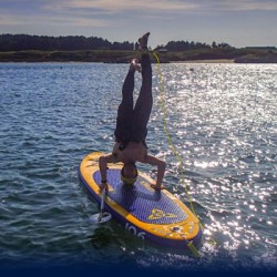 Stand Up Paddle Boarding (SUP) Pembroke